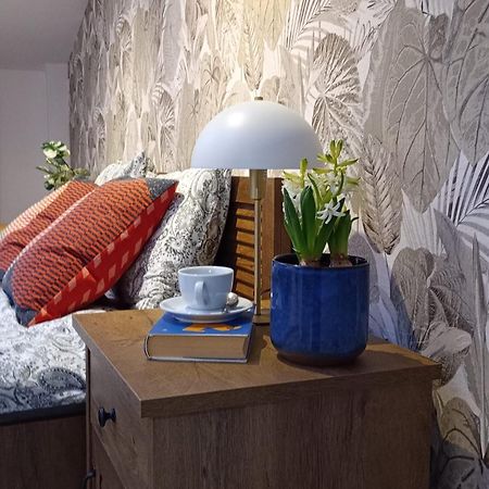Old Town Premium Apartment Kazimierz - Synagogue View 크라쿠프 외부 사진
